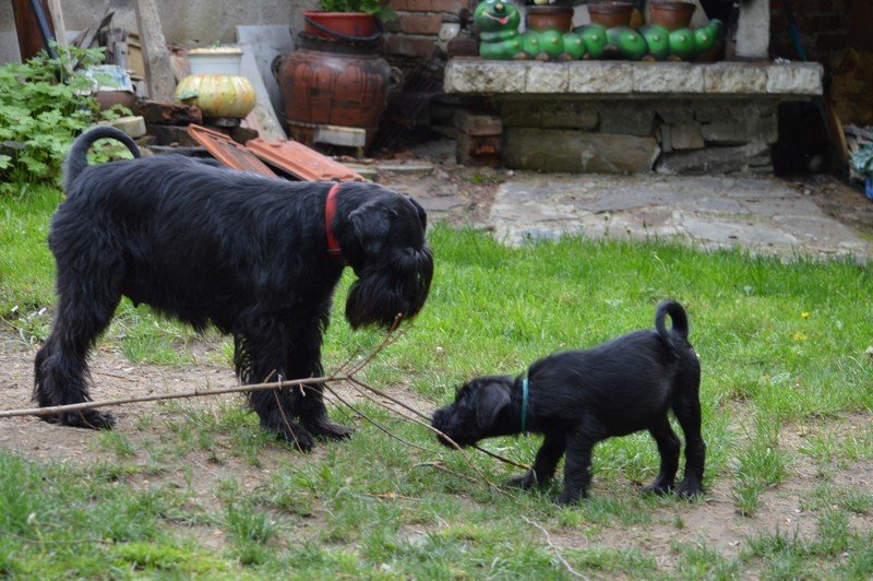 65 - 12,05 - за първи път на вън / for the first time outside